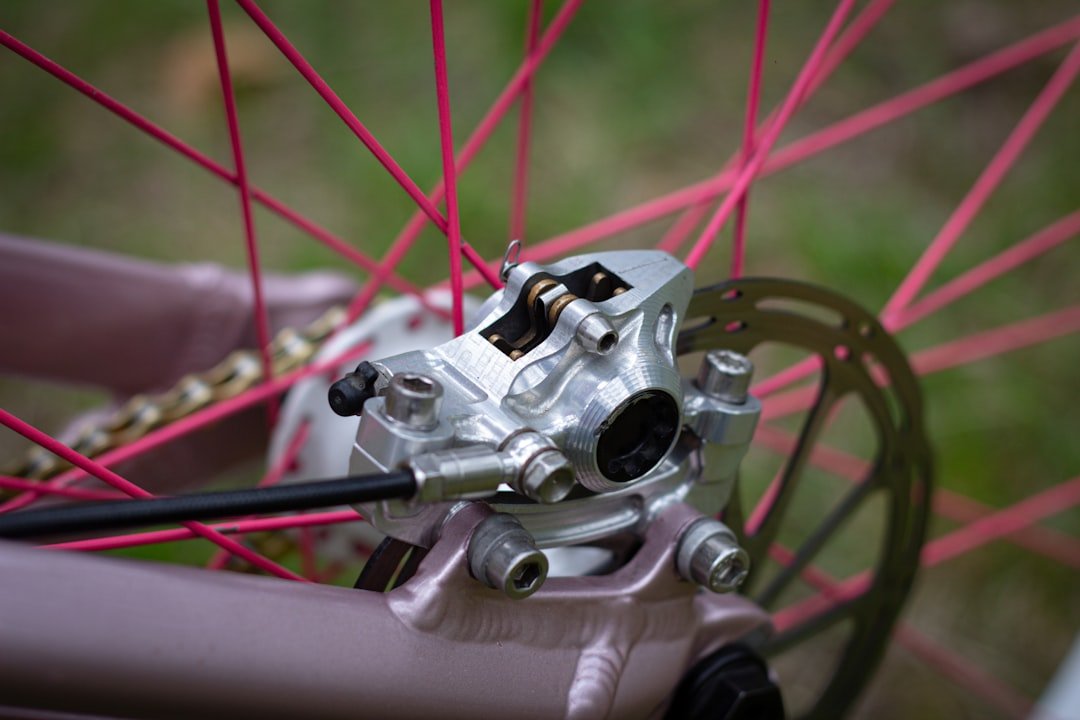 Bike disc brake close-up with pink spokes.