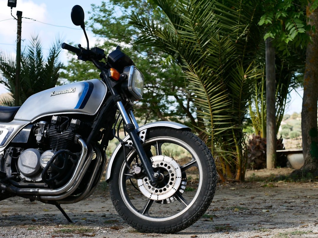 A silver motorcycle parked outdoors near palm trees