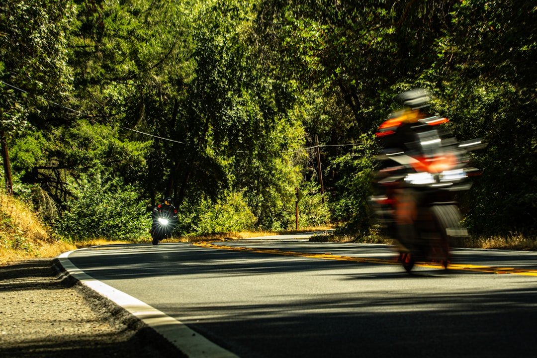 a couple of motorcycles on a road
