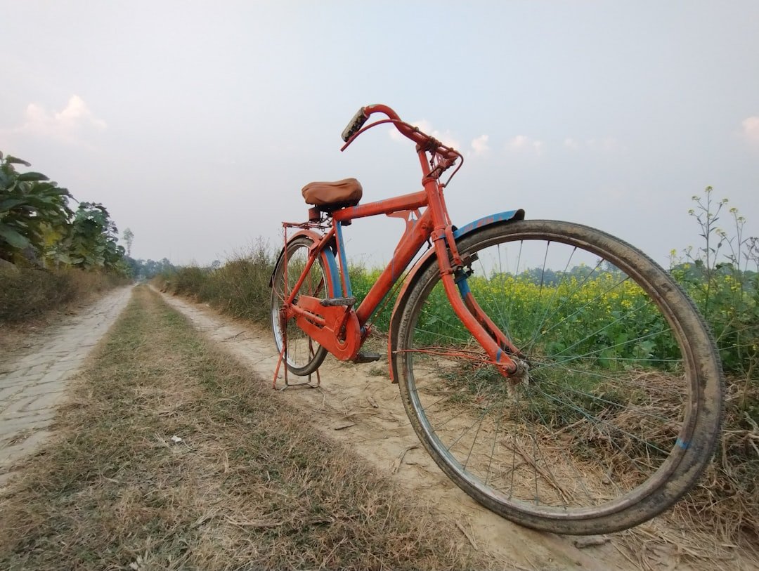a bike parked on a dirt road next to a corn field