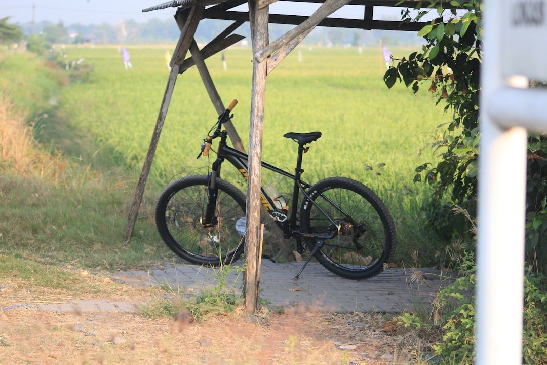 A bike parked under a wooden structure in a field