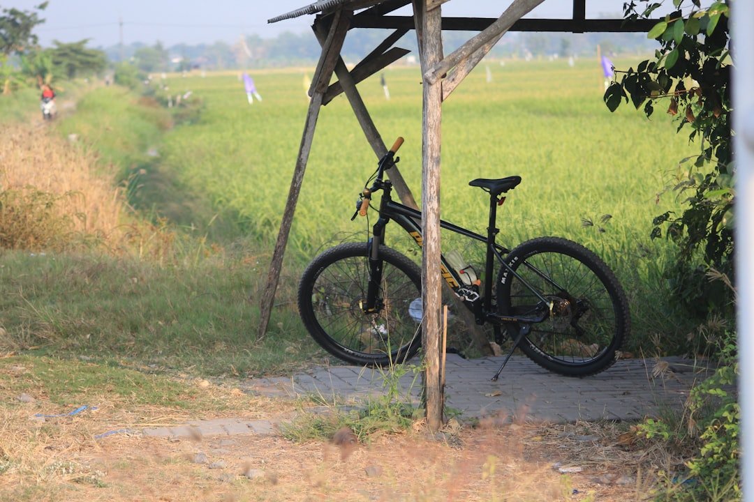A bike parked under a wooden structure in a field