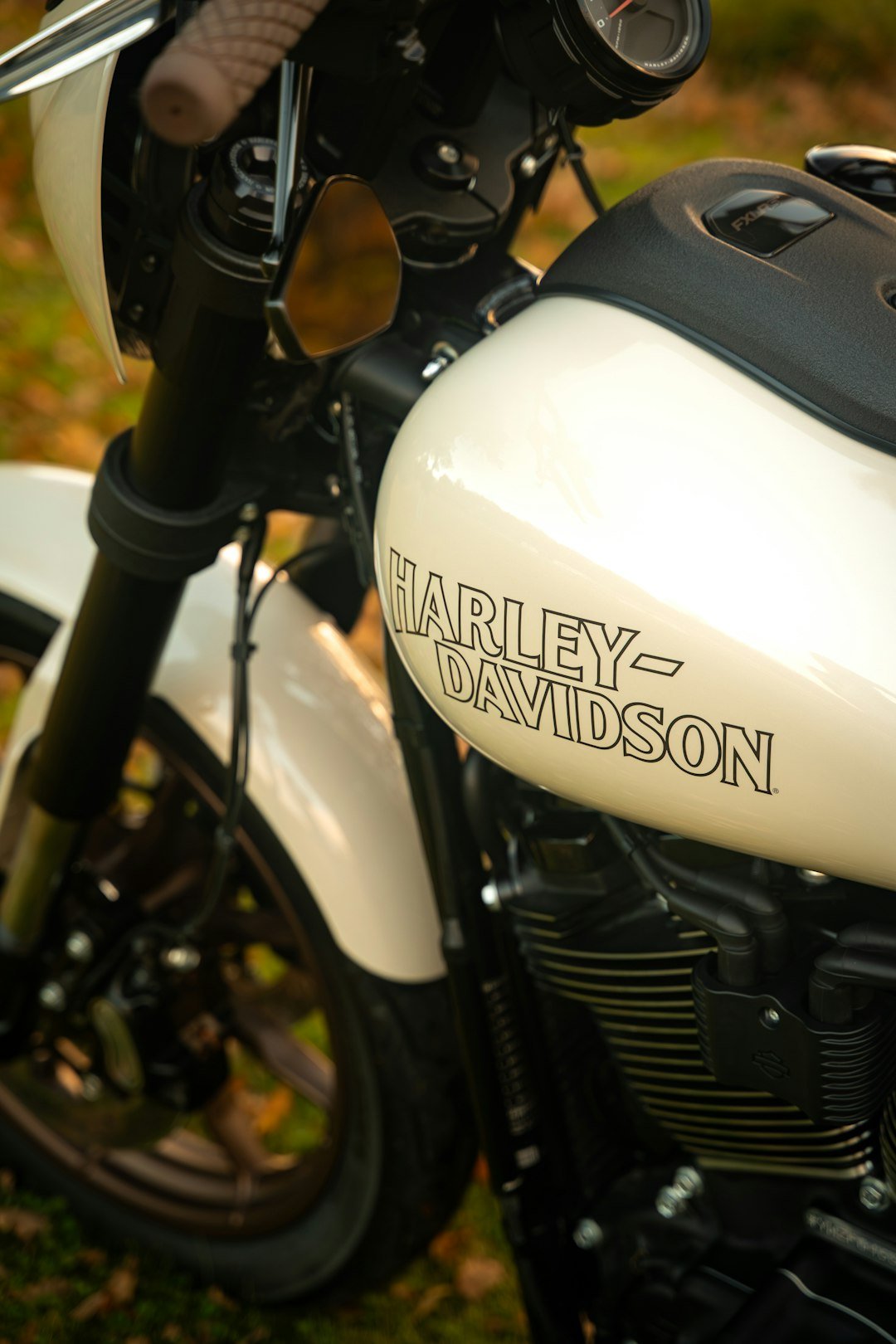 White harley-davidson motorcycle parked outdoors
