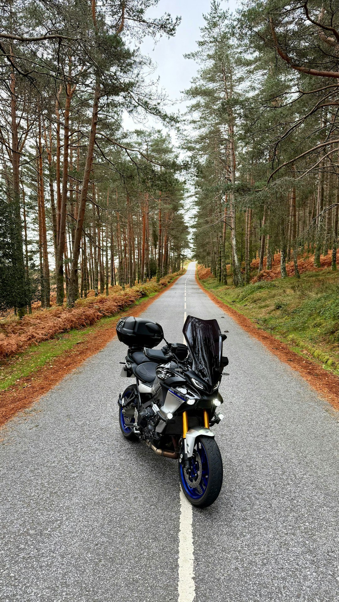 Motorcycle parked on a road through a forest.