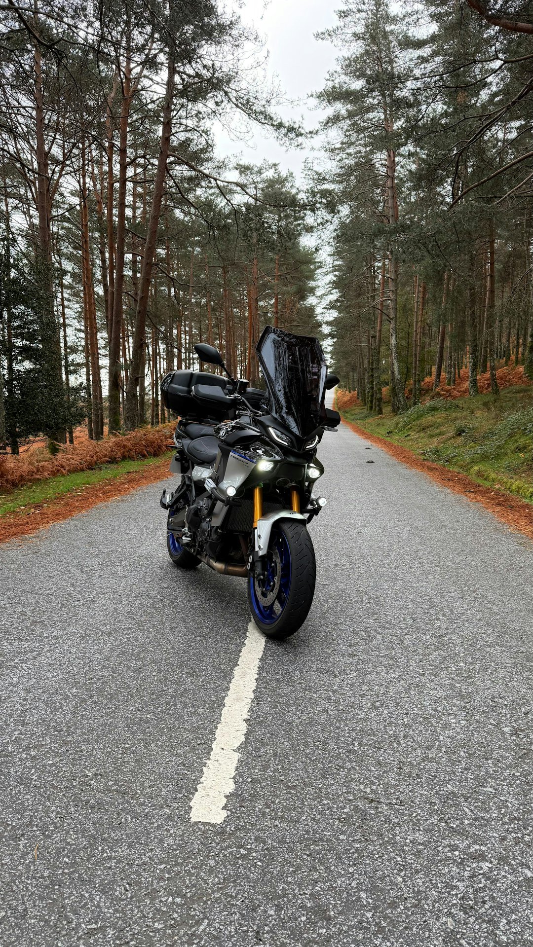 Motorcycle parked on a wet road through a forest
