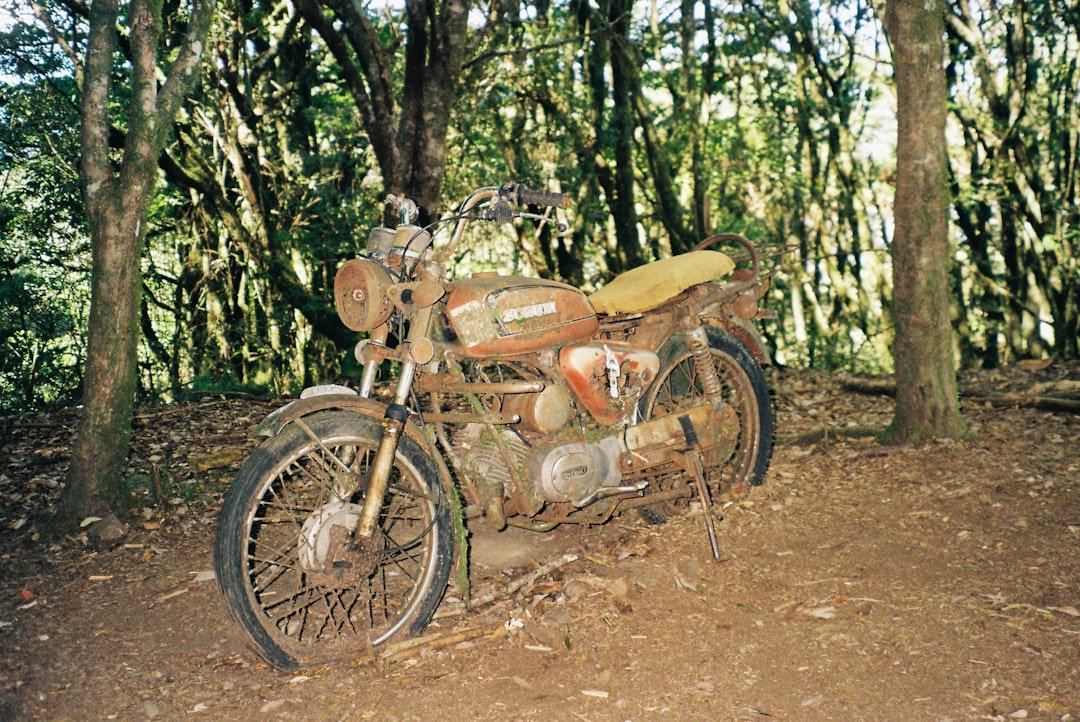 an old motorcycle is parked in the woods