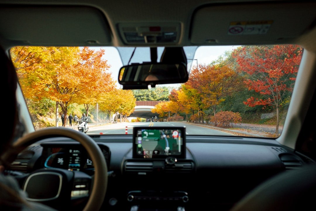 Driving through autumn trees on a sunny day.