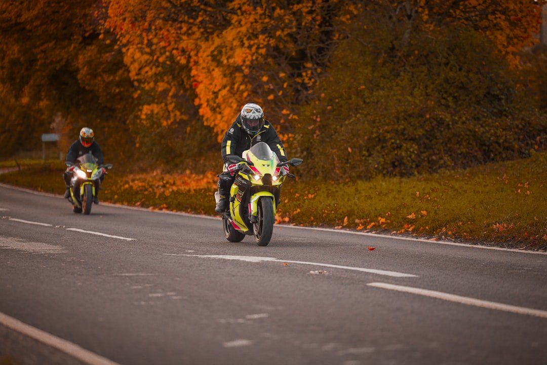Two motorcyclists ride on a road during autumn.