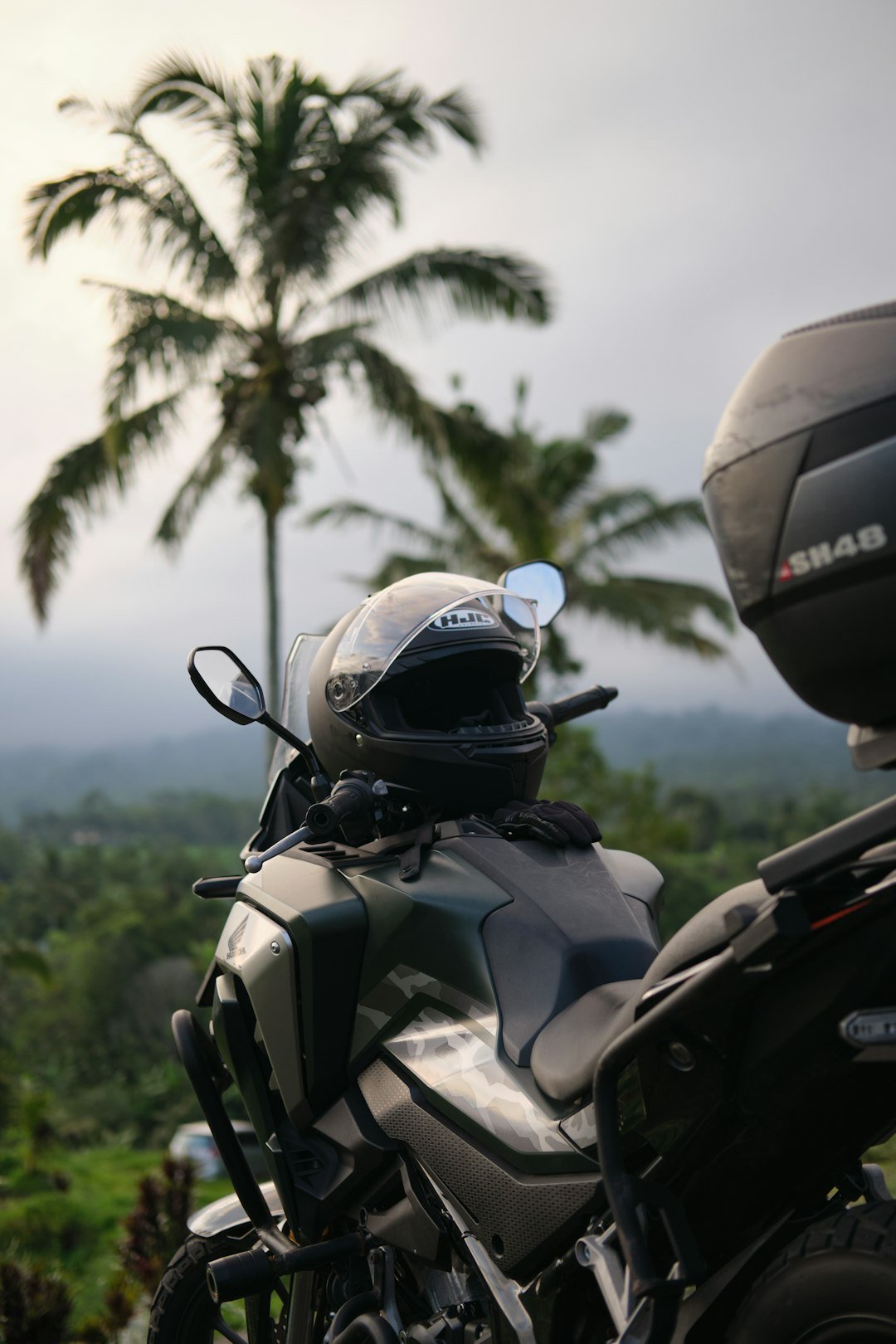Motorcycle with helmet parked near palm trees
