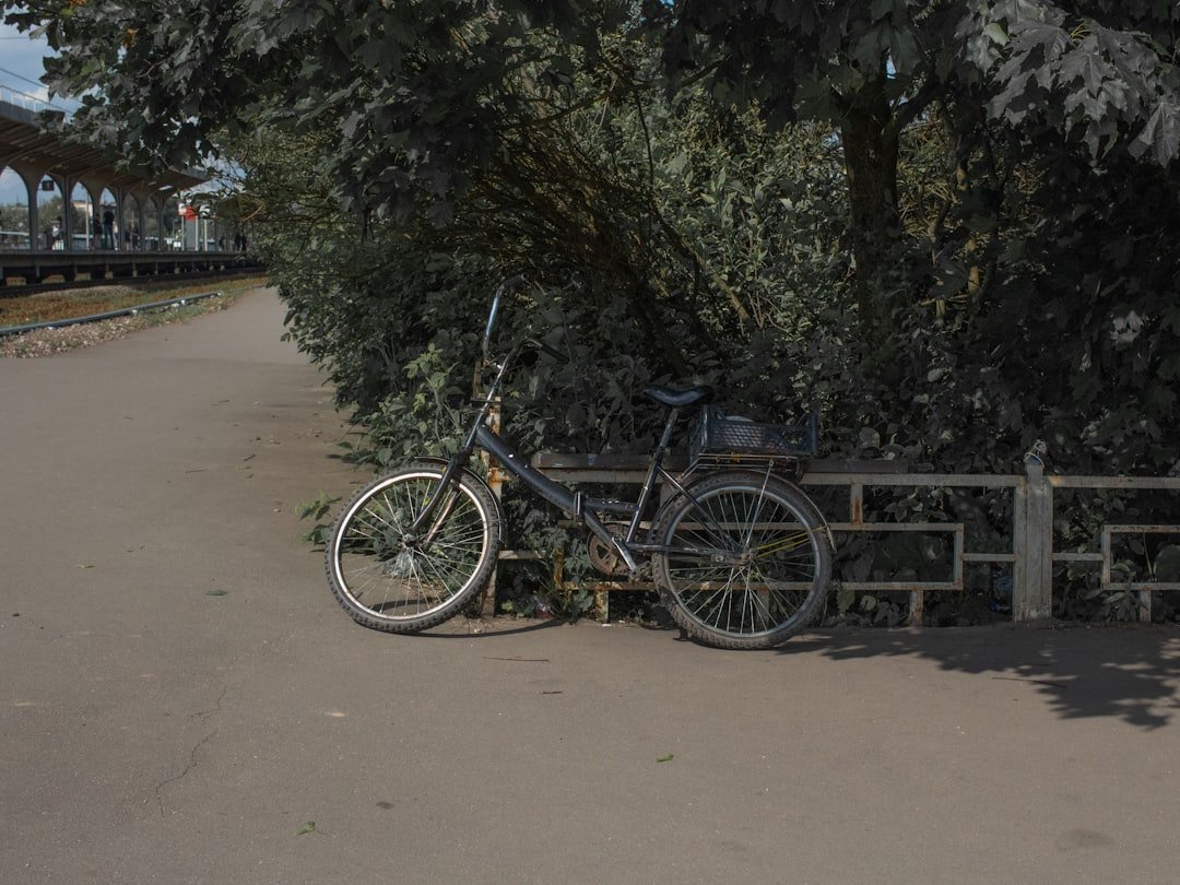 A bicycle is leaning by bushes and a fence.