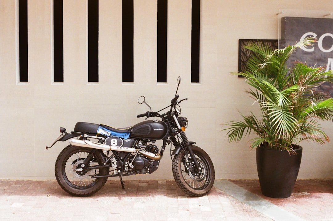 A black motorcycle parked next to a potted plant.