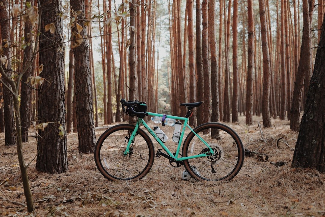A bicycle parked in the middle of a forest