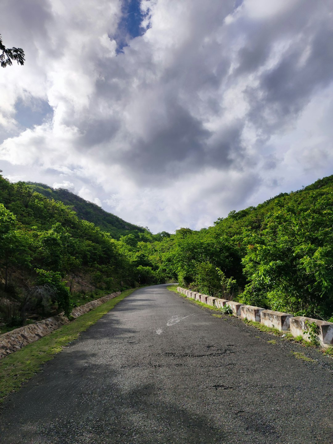 a road with trees on the side