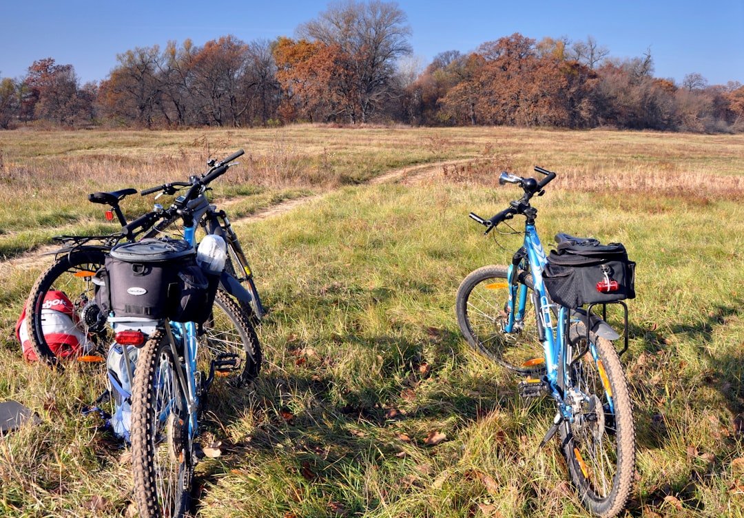 Bikes sit in a field on a sunny day.