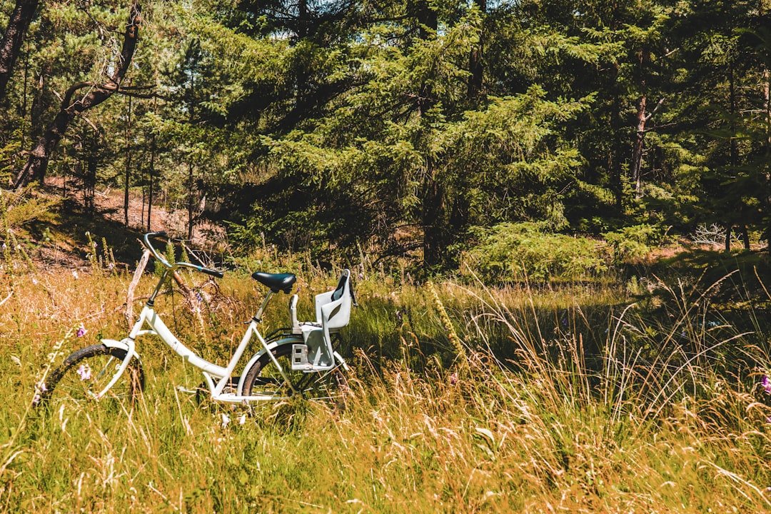 White bicycle parked in tall grass near trees.