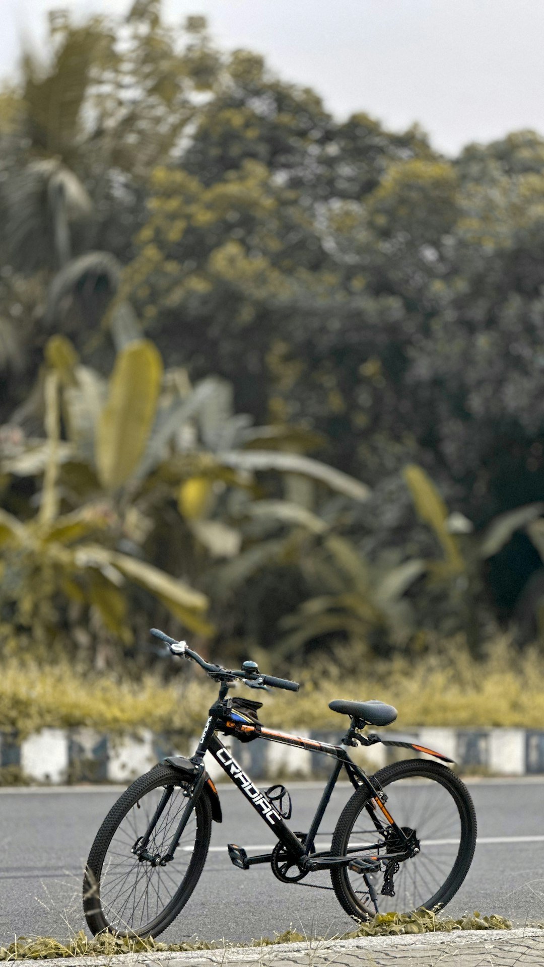 a bicycle parked on the side of the road