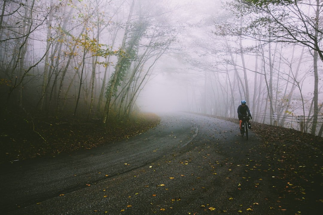 Cyclist on a foggy road through autumn trees